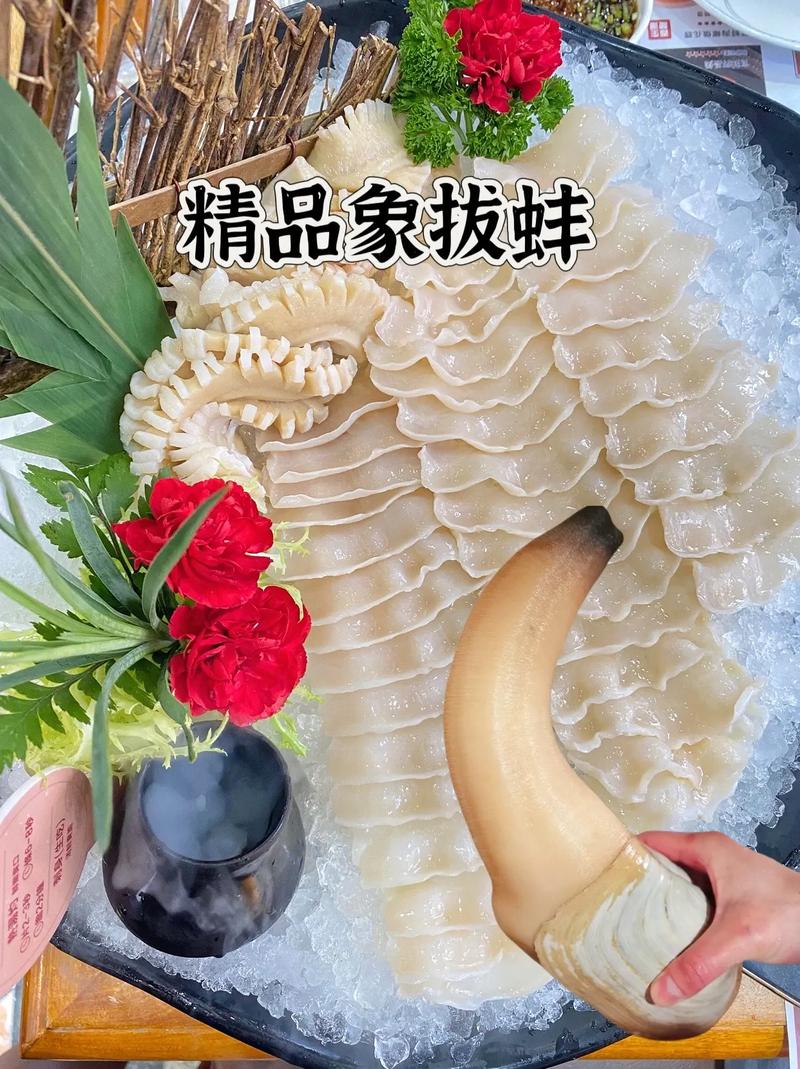 象拔蚌怎么看活不活？学会这招不怕被坑！