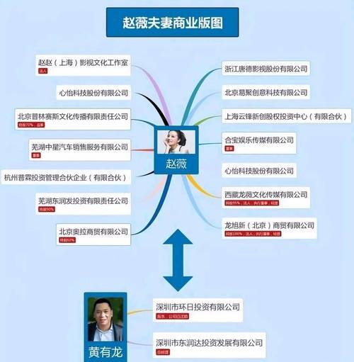 许宗衡和赵薇认识吗？这俩人的关系靠不靠谱？