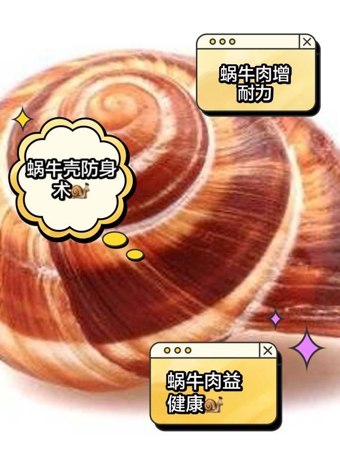 蜗牛透视好用吗？用户真实反馈与评价！