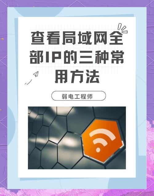 网通客户端下载ip地址在哪？快速获取看这里！