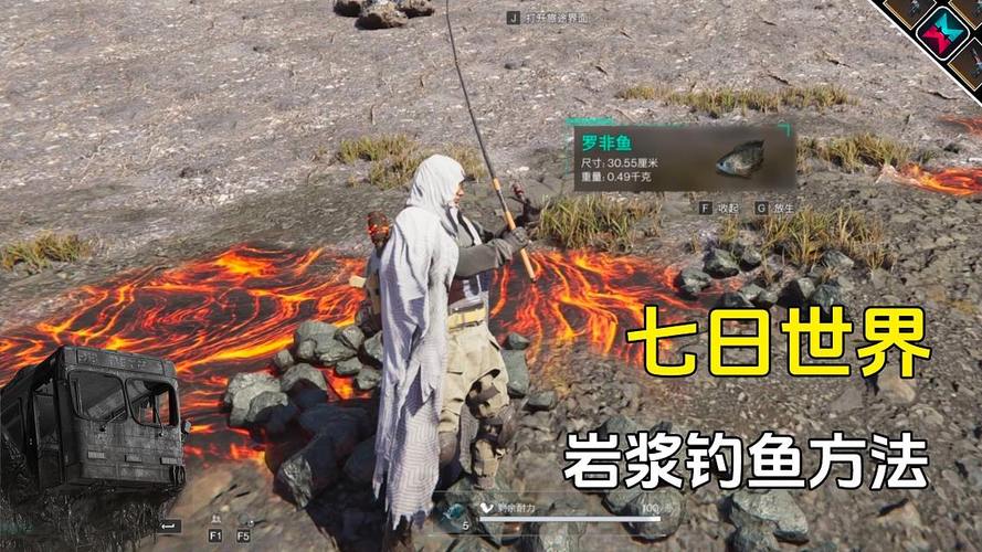 神魔大陆鳕鱼在哪钓？新手也能快速上手！