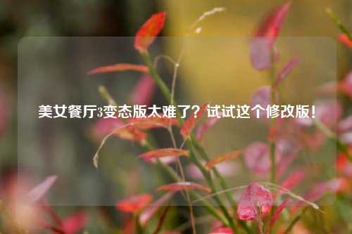 美女餐厅3变态版太难了？试试这个修改版！