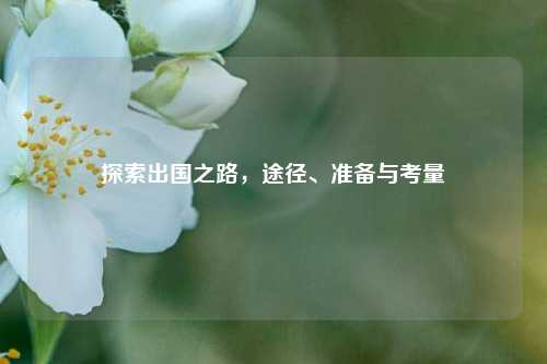 探索出国之路，途径、准备与考量