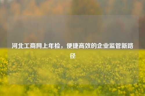 河北工商网上年检，便捷高效的企业监管新路径