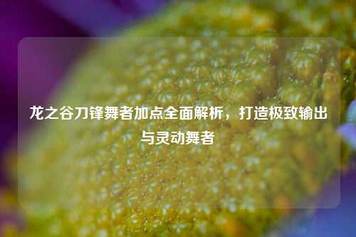 龙之谷刀锋舞者加点全面解析，打造极致输出与灵动舞者