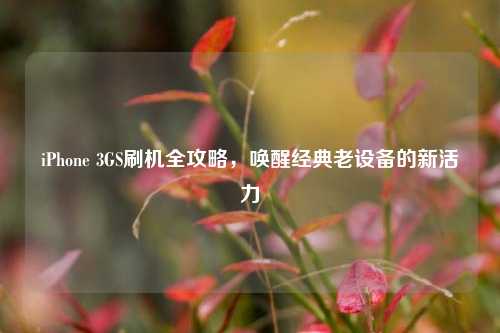 iPhone 3GS刷机全攻略，唤醒经典老设备的新活力