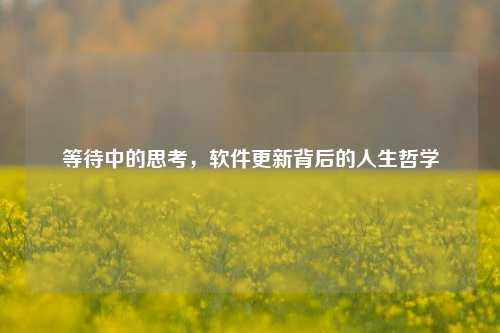 等待中的思考，软件更新背后的人生哲学
