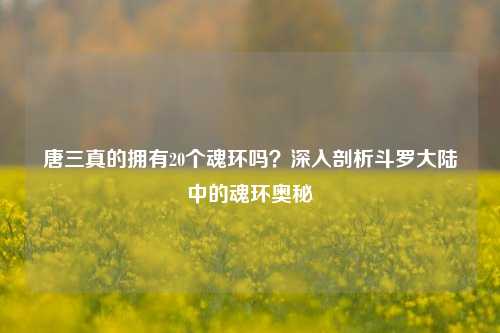 唐三真的拥有20个魂环吗？深入剖析斗罗大陆中的魂环奥秘