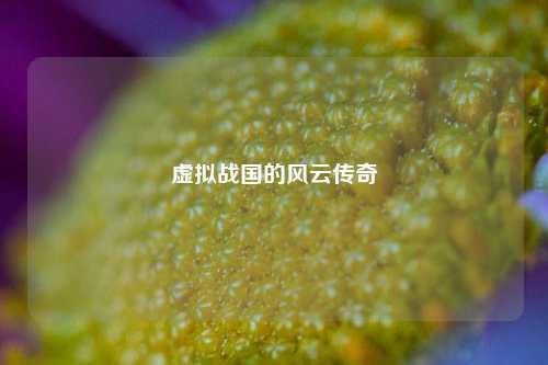 虚拟战国的风云传奇