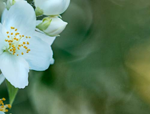 CF屏幕显示效果优化指南：如何调整设置让画面更清晰