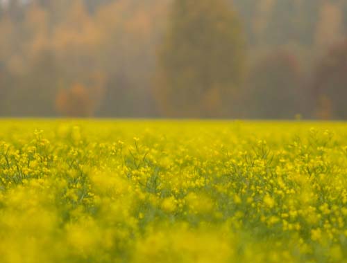 CF手游精神小伙怒砸键盘事件引发热议，游戏情绪管理成焦点