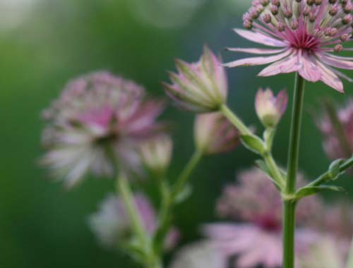 CF全新剧情模式上线！详细位置与玩法攻略全解析