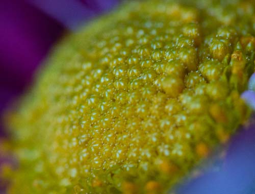 穿越火线无尽挑战模式等级要求详解