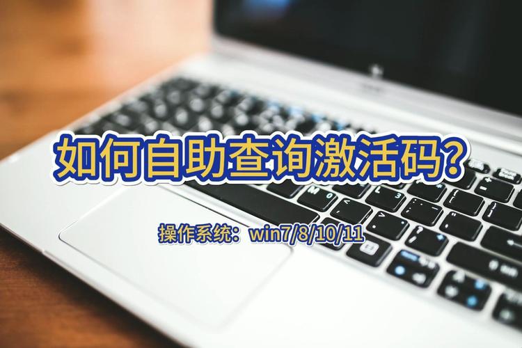 查找2013序列号？最新官方正版激活指南