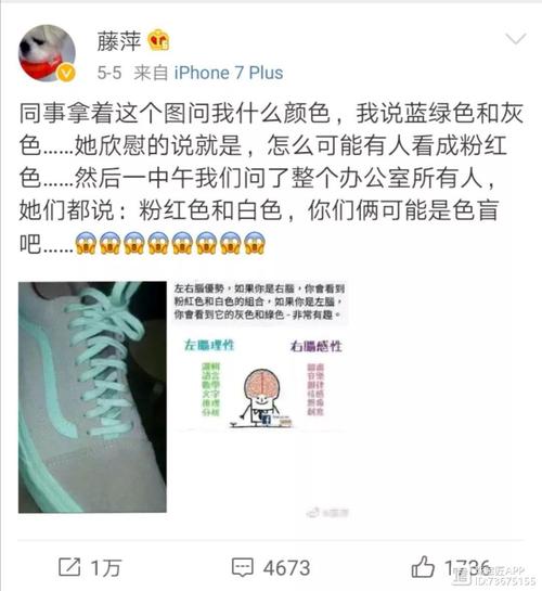 灰绿与粉白之谜：从视觉到科学的解读