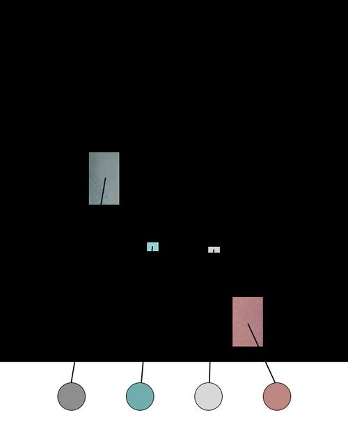 灰绿与粉白之谜：从视觉到科学的解读