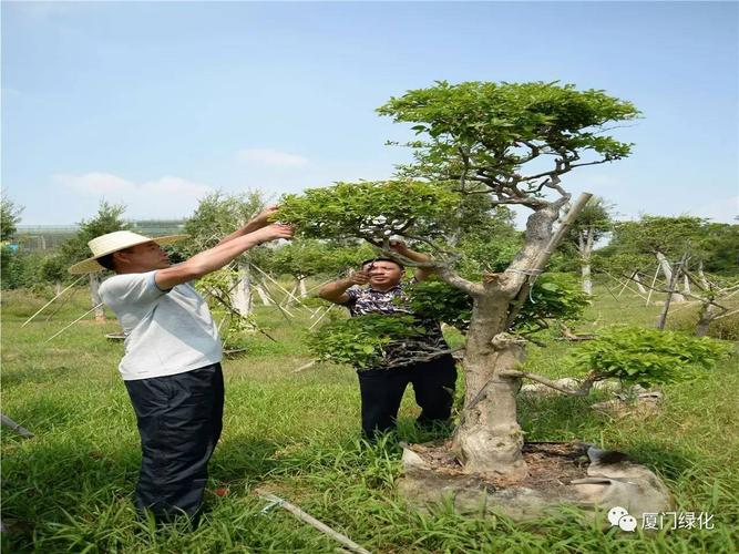 重生之摇滚大金砖：前世失败者的逆袭之路