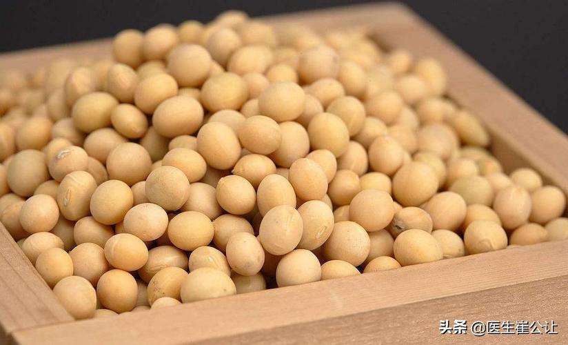 豆类古称“菽”：五谷之中的传统食物解析