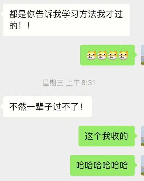 倩女殿试答题器怎么用？手把手教你轻松答题！