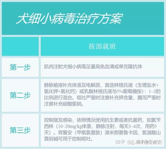 细小是什么？全面解析细小病毒及其影响