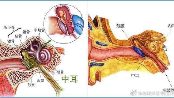 耳朵医生提示：常见耳科疾病的症状、诊断与治疗方法