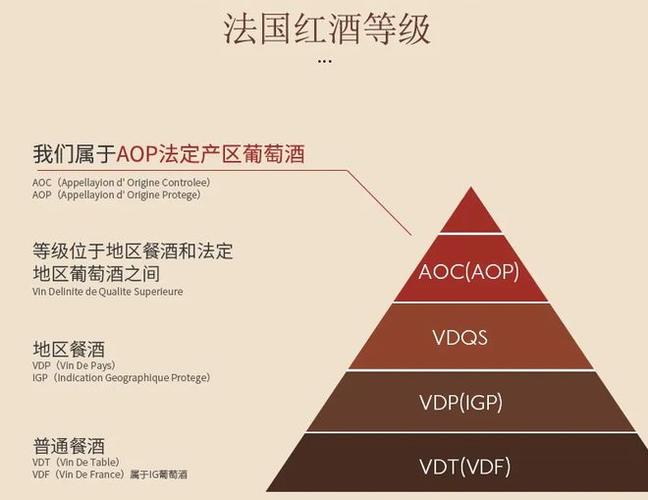 红酒瓶尺寸指南：了解750ml和500ml的差异