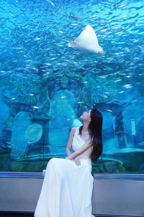 梦幻海底下载免费版，畅游海底世界不花钱！