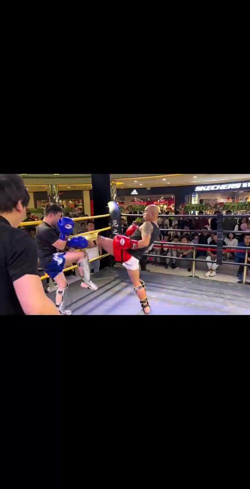 格斗之夜2012全部比赛结果回顾！看看谁笑到了最后？