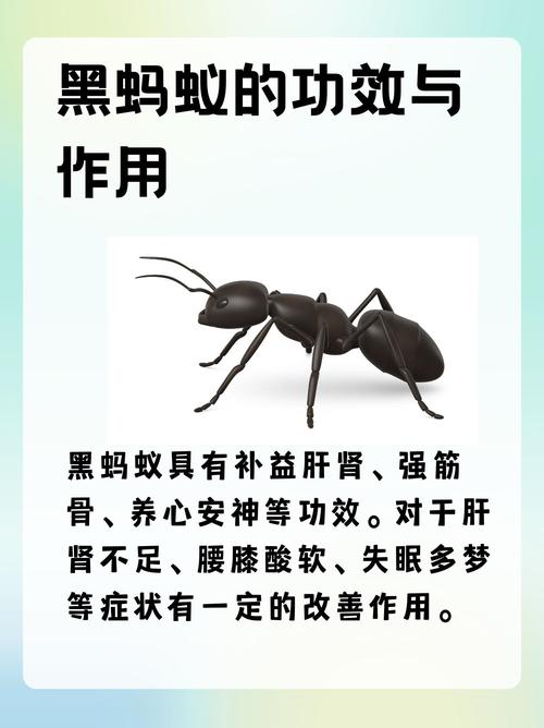 突然火起来的蚂蚁牙黑，究竟是什么意思？