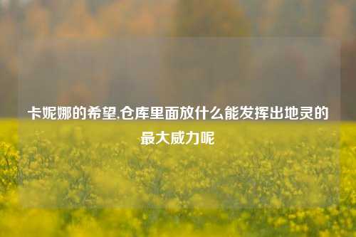 卡妮娜的希望,仓库里面放什么能发挥出地灵的最大威力呢