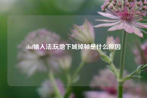 dnf输入法,玩地下城掉帧是什么原因