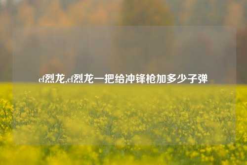 cf烈龙,cf烈龙一把给冲锋枪加多少子弹