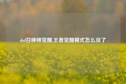 dnf召唤师觉醒,王者觉醒模式怎么没了