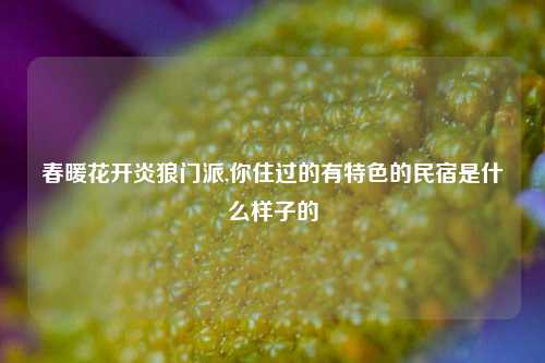 春暖花开炎狼门派,你住过的有特色的民宿是什么样子的