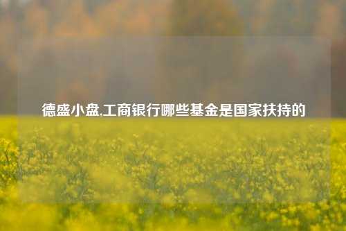 德盛小盘,工商银行哪些基金是国家扶持的