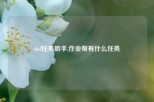 dnf任务助手,作业帮有什么任务