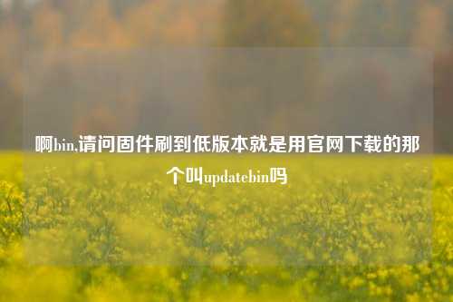 啊bin,请问固件刷到低版本就是用官网下载的那个叫updatebin吗