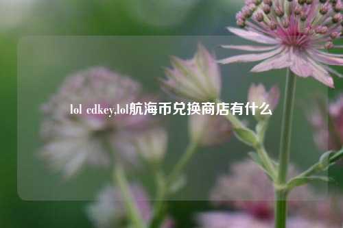 lol cdkey,lol航海币兑换商店有什么