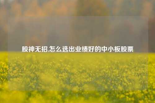 股神无招,怎么选出业绩好的中小板股票