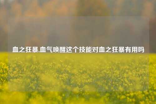 血之狂暴,血气唤醒这个技能对血之狂暴有用吗