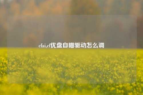 cfai,cf优盘自瞄驱动怎么调