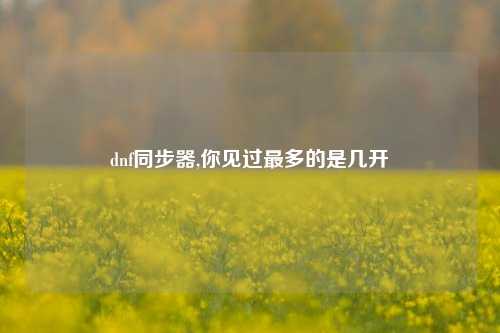 dnf同步器,你见过最多的是几开