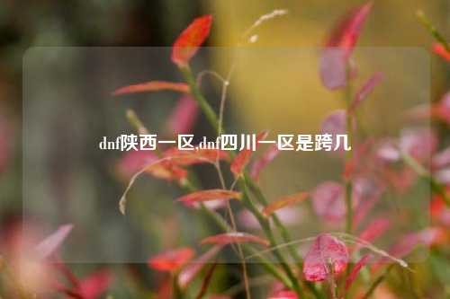 dnf陕西一区,dnf四川一区是跨几