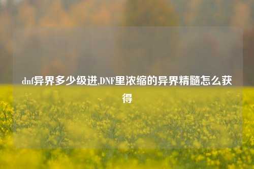 dnf异界多少级进,DNF里浓缩的异界精髓怎么获得