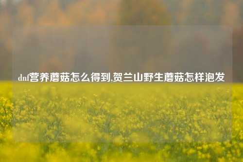 dnf营养蘑菇怎么得到,贺兰山野生蘑菇怎样泡发