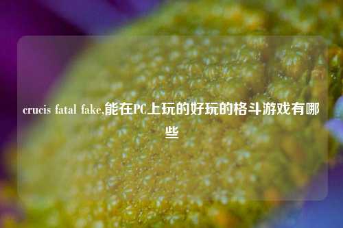 crucis fatal fake,能在PC上玩的好玩的格斗游戏有哪些