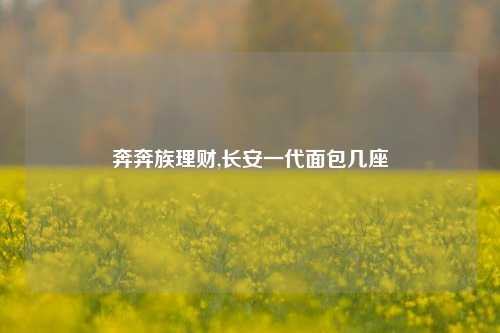 奔奔族理财,长安一代面包几座