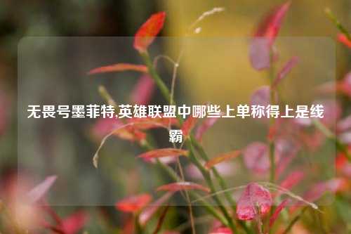 无畏号墨菲特,英雄联盟中哪些上单称得上是线霸