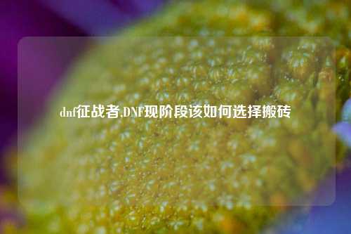 dnf征战者,DNF现阶段该如何选择搬砖