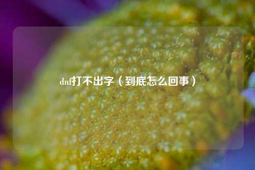 dnf打不出字（到底怎么回事）